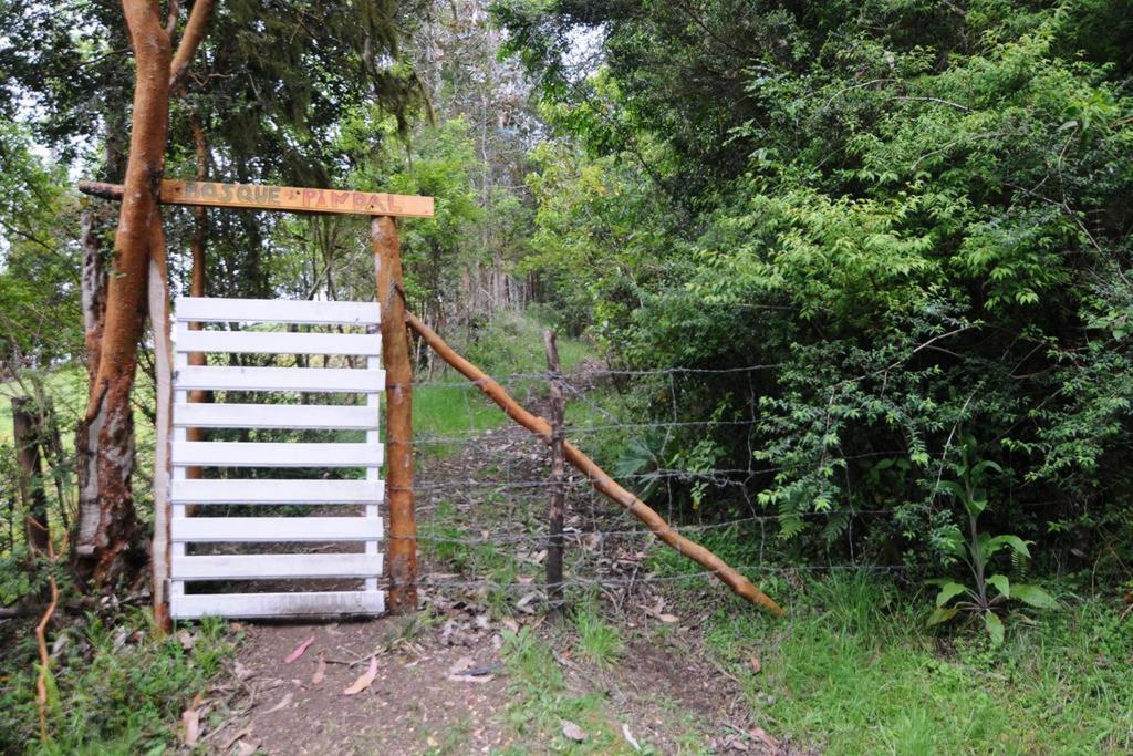 Casa Pindal Bed and breakfast